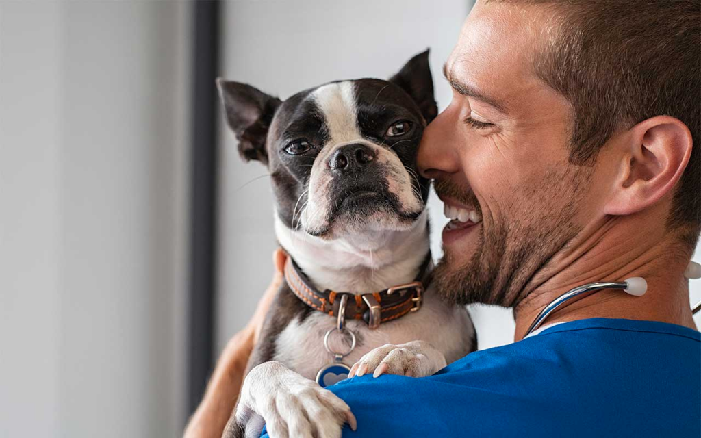 How Pet Friendly rehabs Really Work for You