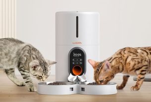 How the WOpet Barn Automatic Feeder Simplifies Feeding Multiple Cats