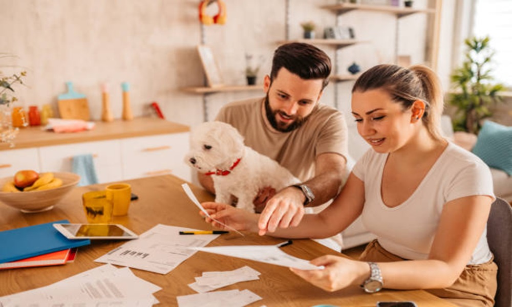 Pet Parenthood 101: A Crash Course in Responsible Pet Insurance