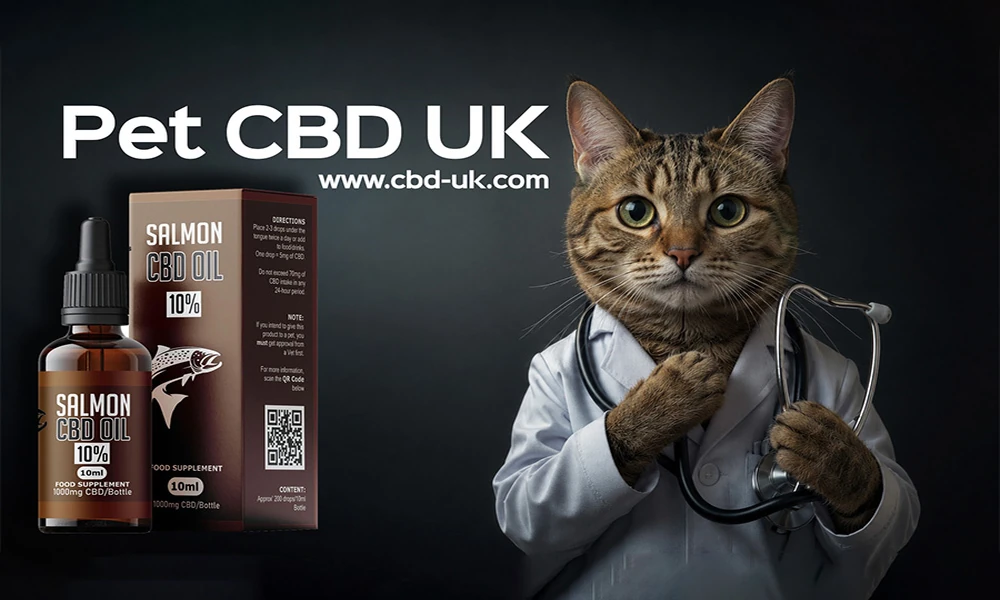 Pet CBD UK: Why Choosing a Trusted CBD Company Matters